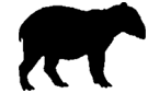ein Tapir ...